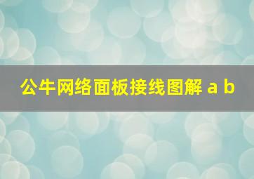 公牛网络面板接线图解 a b